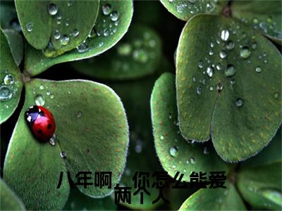 八年啊，你怎么能爱两个人（霍昀川纪云汐）全文在线阅读无弹窗大结局_(霍昀川纪云汐免费阅读全文大结局)最新章节列表_笔趣阁（八年啊，你怎么能爱两个人）