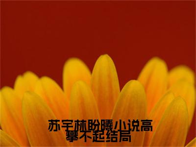 高攀不起全文免费阅读在线阅读  苏宇林盼曦全文免费阅读最新章节列表_笔趣阁
