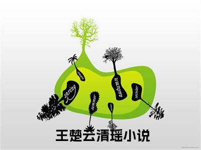 奶爸：娇妻是明星，开局带娃上门（ 王楚云清瑶）是哪部小说的主角-奶爸：娇妻是明星，开局带娃上门（ 王楚云清瑶）全文无弹窗完整版阅读