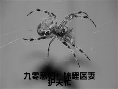 苏清虞顾祯鸣全文免费阅读大结局-九零恶妇：锦鲤医妻护夫忙完整版无弹窗