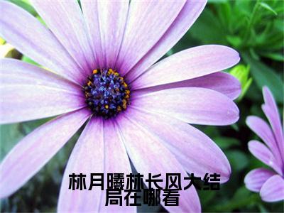  林月曦林长风（女儿觉醒记忆后，把我身份曝光了？）全文免费 林月曦林长风读无弹窗大结局_  林月曦林长风免费女儿觉醒记忆后，把我身份曝光了？读最新章节列表_笔趣阁