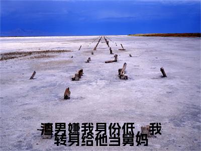 渣男嫌我身份低，我转身给他当舅妈免费小说全文免费阅读无弹窗大结局_薄妄言楚念念完结版在线阅读