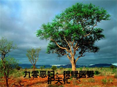 《九零恶妇：锦鲤医妻护夫忙》无弹窗大结局（苏清虞顾祯鸣）-抖音热推九零恶妇：锦鲤医妻护夫忙无弹窗阅读最新章节列表_笔趣阁