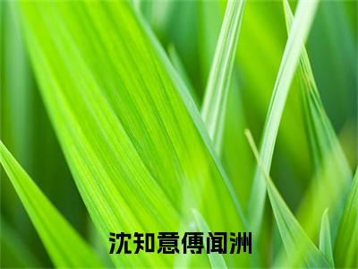 傅闻洲沈知意小说全文免费阅读大结局-沈知意傅闻洲最新章节列表免费阅读