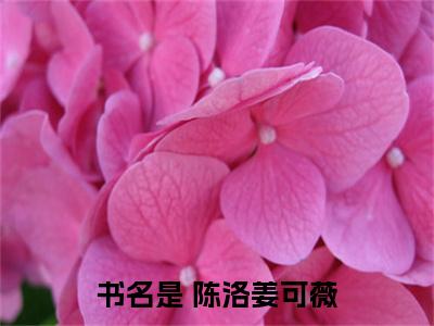 真相曝光后，清冷校花跪求我原谅（ 陈洛姜可薇）全文免费阅读无弹窗大结局_( 陈洛姜可薇)真相曝光后，清冷校花跪求我原谅最新章节列表_笔趣阁