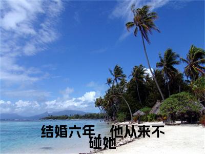 结婚六年,他从来不碰她(沈念潇秦知勉)全文免费阅读无弹窗_结婚六年,他从来不碰她(沈念潇秦知勉小说完整版)最新章节列表