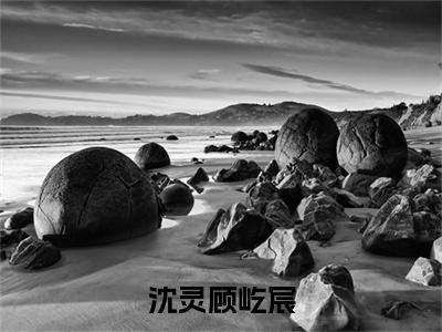 沈灵顾屹宸(顾屹宸沈灵)全文免费阅读无弹窗大结局_沈灵顾屹宸最新章节列表-笔趣阁顾屹宸沈灵