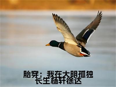  杨轩徐达小说（胎穿：我在大明孤独长生杨轩徐达）无弹窗大结局-胎穿：我在大明孤独长生杨轩徐达（ 杨轩徐达）完整版免费阅读