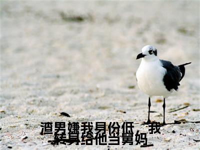 薄妄言楚念念（渣男嫌我身份低，我转身给他当舅妈）小说最新章节-渣男嫌我身份低，我转身给他当舅妈全文免费阅读无弹窗大结局