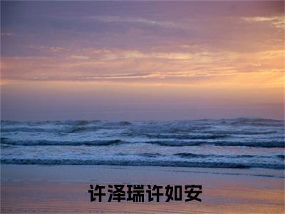  许泽瑞许如安（小奶团能知未来，被三个哥哥抢着护）全文免费阅读无弹窗_小奶团能知未来，被三个哥哥抢着护最新小说_笔趣阁