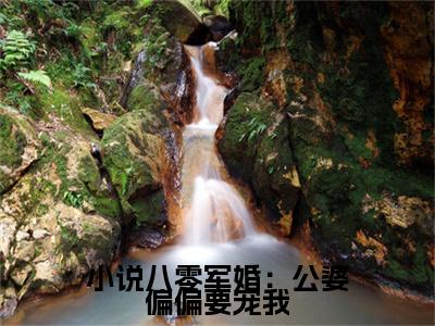 小说八零军婚：公婆偏偏要宠我（ 郁如烟董战歌小说）全文免费阅读无弹窗大结局_( 郁如烟董战歌小说)小说八零军婚：公婆偏偏要宠我最新章节列表_笔趣阁（ 郁如烟董战歌）