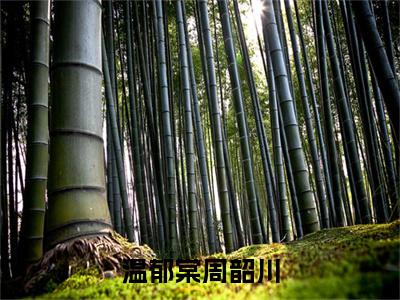 小说温郁棠周韶川免费阅读-（周韶川温郁棠）全文无弹窗阅读