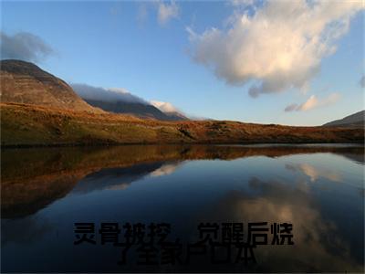 灵骨被挖，觉醒后烧了全家户口本盛灵澜祝九溟小说（盛灵澜祝九溟）全文在线阅读无弹窗大结局灵骨被挖，觉醒后烧了全家户口本