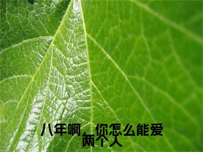 八年啊，你怎么能爱两个人（霍昀川纪云汐）小说全文免费阅读正版无弹窗，八年啊，你怎么能爱两个人免费阅读