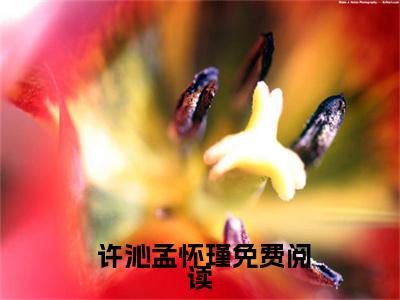 穿到白粥姐被收养前，这养女我来当（ 许沁孟怀瑾）全文免费阅读无弹窗大结局_（ 许沁孟怀瑾）章节列表_笔趣阁