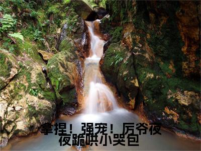 拿捏!强宠!厉爷夜夜跪哄小哭包 慕璃厉煌正版小说全文阅读 慕璃厉煌全文免费完整版