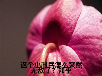 （热推新书）《这个小村民怎么突然无敌了？》全文免费阅读无弹窗大结局- 许飞狐九儿无弹窗阅读