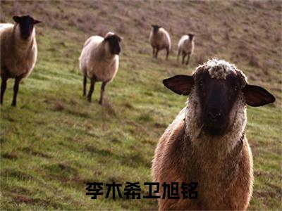 卫旭铭李木希小说(李木希卫旭铭)全文免费阅读无弹窗大结局_(卫旭铭李木希免费阅读全文大结局)最新章节列表_笔趣阁(李木希卫旭铭)