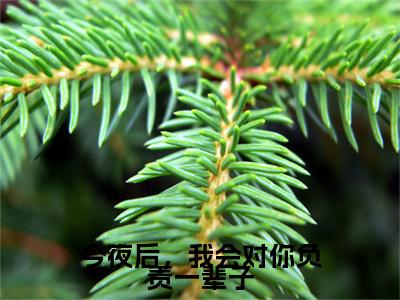 今夜后，我会对你负责一辈子（顾汐霍霆均）笔趣阁免费小说_今夜后，我会对你负责一辈子笔趣阁最新章节顾汐霍霆均免费在线阅读大结局