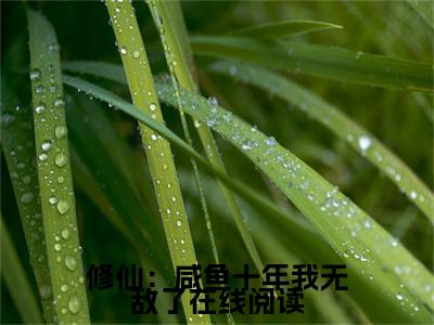 修仙：咸鱼十年我无敌了小说在线阅读-主角叫 晏岁裴尘赋的小说（修仙：咸鱼十年我无敌了）完整版免费阅读全文