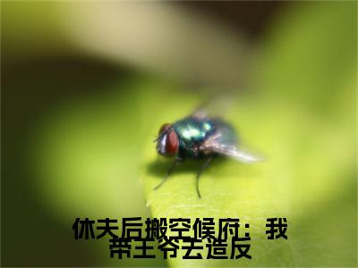 小说休夫后搬空候府:我带王爷去造反全文免费阅读无弹窗大结局-休夫后搬空候府:我带王爷去造反郁璃容淮在线阅读最新章节列表_笔趣阁