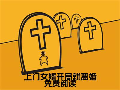 上门女婿开局就离婚小说_ 叶天明王玉儿全文阅读 上门女婿开局就离婚小说免费阅读笔趣阁