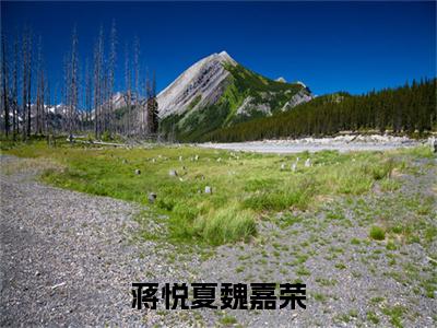 魏嘉荣蒋悦夏小说免费(蒋悦夏魏嘉荣)全文免费阅读无弹窗-蒋悦夏魏嘉荣小说全文免费阅读最新章节列表_笔趣阁