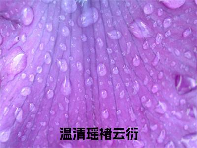 褚云衍温清瑶小说(温清瑶褚云衍)全文在线阅读无弹窗大结局_(褚云衍温清瑶在线阅读无弹窗)最新章节列表_笔趣阁(温清瑶褚云衍)