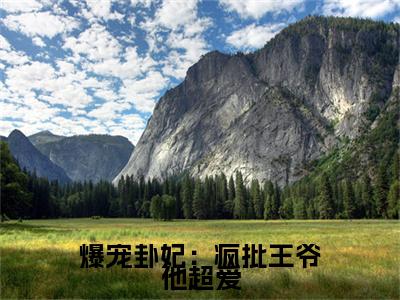 爆宠卦妃：疯批王爷他超爱小说全文免费阅读无弹窗大结局_爆宠卦妃：疯批王爷他超爱最新章节列表_笔趣阁