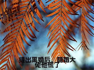 提出离婚后，隐婚大佬他慌了全文小说（傅零珩黎斐）全文阅读-提出离婚后，隐婚大佬他慌了在线小说免费阅读