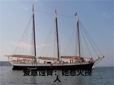  姜浅陆清时小说(爱意蚀骨：她惹火撩人，引神明坠落)全文免费阅读_(爱意蚀骨：她惹火撩人，引神明坠落) 姜浅陆清时小说最新章节列表_笔趣阁(爱意蚀骨：她惹火撩人，引神明坠落)
