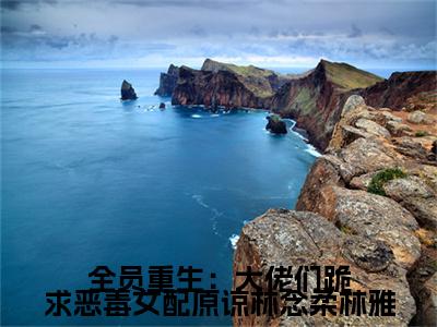 全员重生：大佬们跪求恶毒女配原谅林念柔林雅小说（ 林念柔林雅）全文免费阅读无弹窗大结局_全员重生：大佬们跪求恶毒女配原谅林念柔林雅小说免费阅读_笔趣阁（ 林念柔林雅小说）