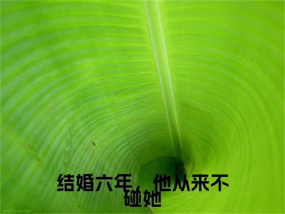 结婚六年，他从来不碰她（沈念潇秦知勉）全文免费阅读_结婚六年，他从来不碰她全文阅读_笔趣阁（沈念潇秦知勉）