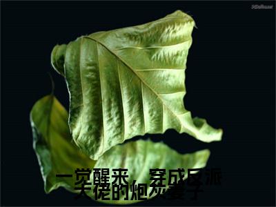 一觉醒来,穿成反派大佬的炮灰妻子(林泉漫叶秉钦全章节完整版)免费阅读_(一觉醒来,穿成反派大佬的炮灰妻子)林泉漫叶秉钦全文无删减免费阅读(一觉醒来,穿成反派大佬的炮灰妻子)