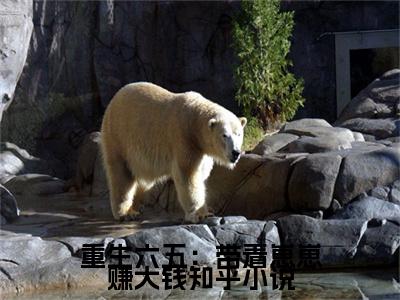 重生六五：带着崽崽赚大钱抖音热推小说全集无删减 赵蕾林清最新章节列表免费阅读_（重生六五：带着崽崽赚大钱）最新章节列表笔趣阁