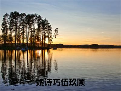 魏诗巧伍玖顾（伍玖顾魏诗巧）全本完整版免费阅读_ (魏诗巧伍玖顾)伍玖顾魏诗巧全文章节目录_笔趣阁（伍玖顾魏诗巧）