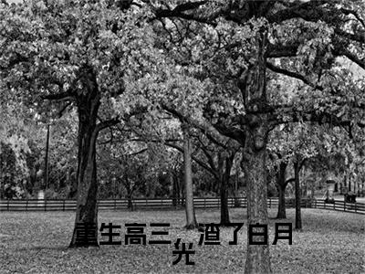 重生高三,渣了白月光(云羽)全文完整版免费阅读_云羽(重生高三,渣了白月光全文免费阅读)最新章节列表_笔趣阁