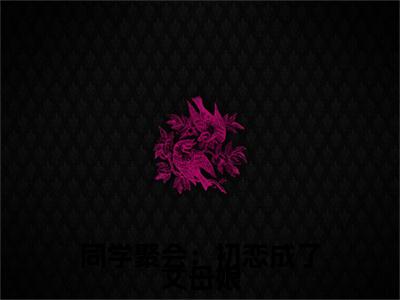 同学聚会：初恋成了丈母娘全文免费完整版-小说同学聚会：初恋成了丈母娘（ 苏紫嫣苏沐叶）已完结全集大结局