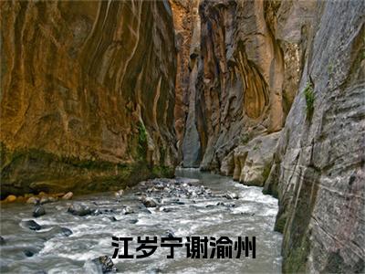 江岁宁谢渝州(主角是谢渝州江岁宁全文免费阅读无弹窗)_江岁宁谢渝州全文免费阅读无弹窗大结局