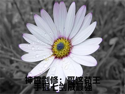 神霄剑修：哥这苟王手握七剑成最强小说（ 林枫冷寒霜）全文在线阅读免费大结局_神霄剑修：哥这苟王手握七剑成最强小说最新章节列表_笔趣阁（ 林枫冷寒霜）