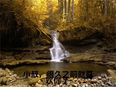 江月柠谢薄之新书小叔，很久之前就喜欢你了 看全文小说-江月柠谢薄之小说资源阅读小叔，很久之前就喜欢你了 