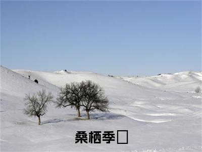 季珵桑栖（季珵桑栖）全文免费阅读无弹窗大结局_桑栖季珵最新章节列表_笔趣阁（季珵桑栖）