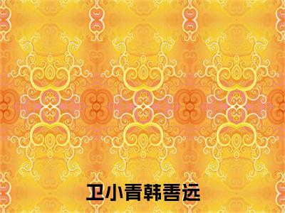 卫小青韩善远精选小说大结局阅读_（韩善远卫小青）卫小青韩善远免费阅读最新章节列表