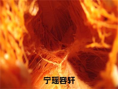 宁瑶容轩(容轩宁瑶)全文免费阅读无弹窗_宁瑶容轩（容轩宁瑶）全文阅读-笔趣阁（宁瑶容轩）