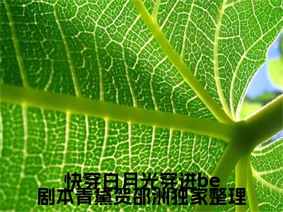 快穿白月光穿进be剧本青黛贺邵洲全文免费阅读无弹窗大结局_ 青黛贺邵洲最新章节列表笔趣阁