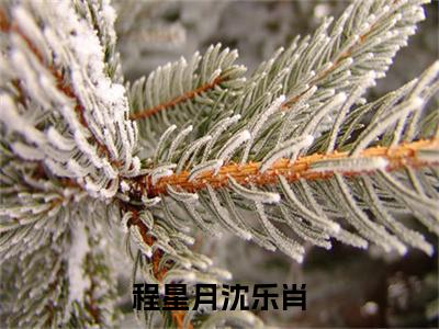 程星月沈乐肖（沈乐肖程星月免费阅读无弹窗）沈乐肖程星月最新章节列表_笔趣阁