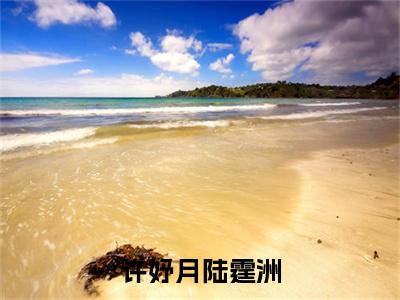 陆霆洲许妤月(许妤月陆霆洲)全文免费阅读无弹窗大结局_许妤月陆霆洲全文免费阅读_笔趣阁
