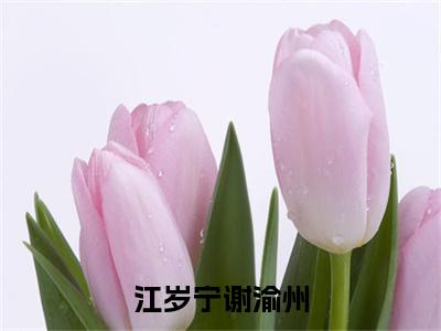 谢渝州江岁宁（江岁宁谢渝州）全文免费阅读无弹窗大结局_（江岁宁谢渝州无弹窗）最新章节免费阅读_笔趣阁（谢渝州江岁宁）