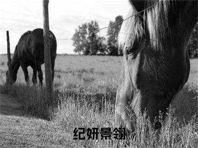 (纪妍景翎)全集小说完整版大结局_纪妍景翎全文免费无弹窗最新章节列表_笔趣阁(景翎纪妍全文免费)
