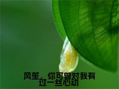 风笙戚茉依（风笙，你可曾对我有过一丝心动 ）全文免费阅读无弹窗大结局_（风笙戚茉依）风笙，你可曾对我有过一丝心动 最新章节列表_笔趣阁（风笙戚茉依）